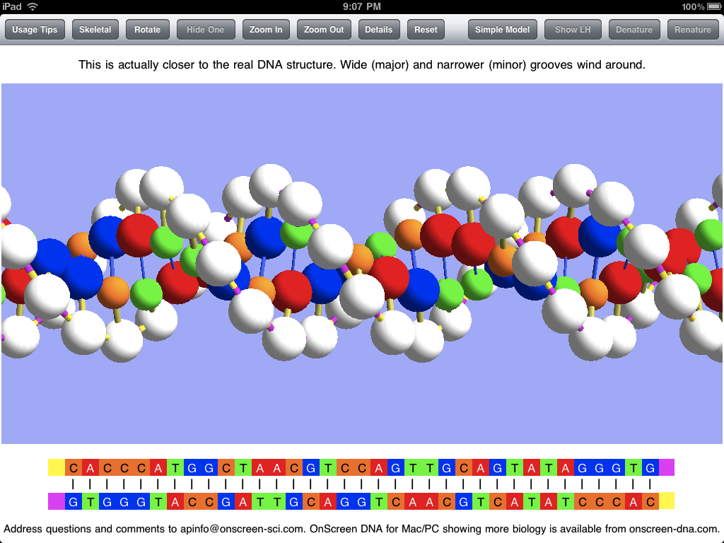 double helix