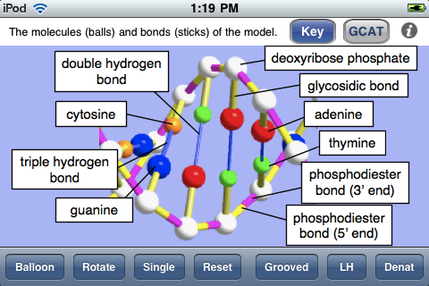 labeled dna models projects